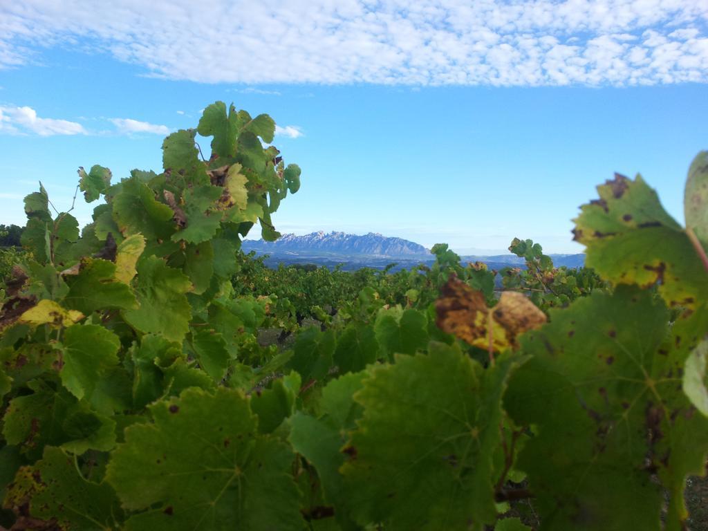 Agroturisme Cal Jeroni Avinyonet del Penedes Exterior photo